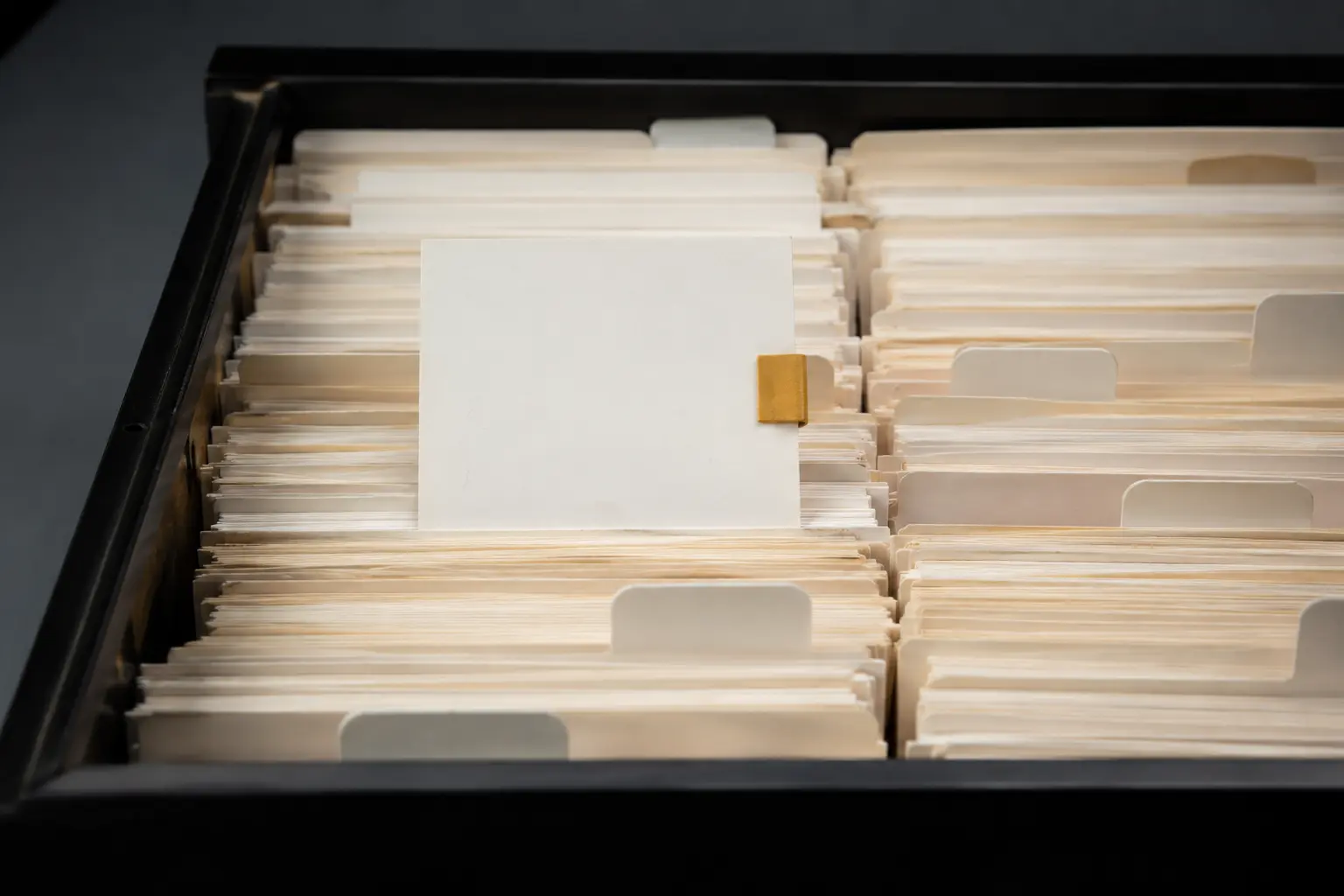 One blank file card raised above rows of pale records in a dark archive tray